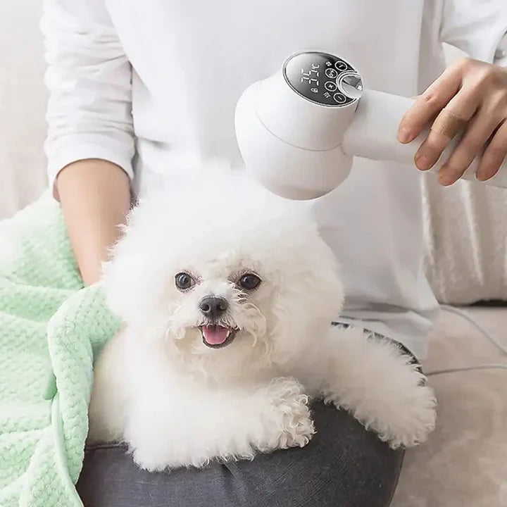 Pet Supplies