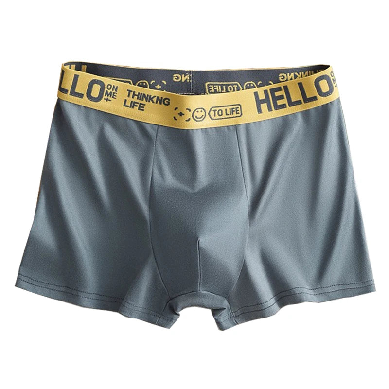 Men's Mid-Waist Thin Briefs Breathable Comfortable Large Size Boxer Shorts Sports Youth Flat Angle Underwear Polyester Fiber